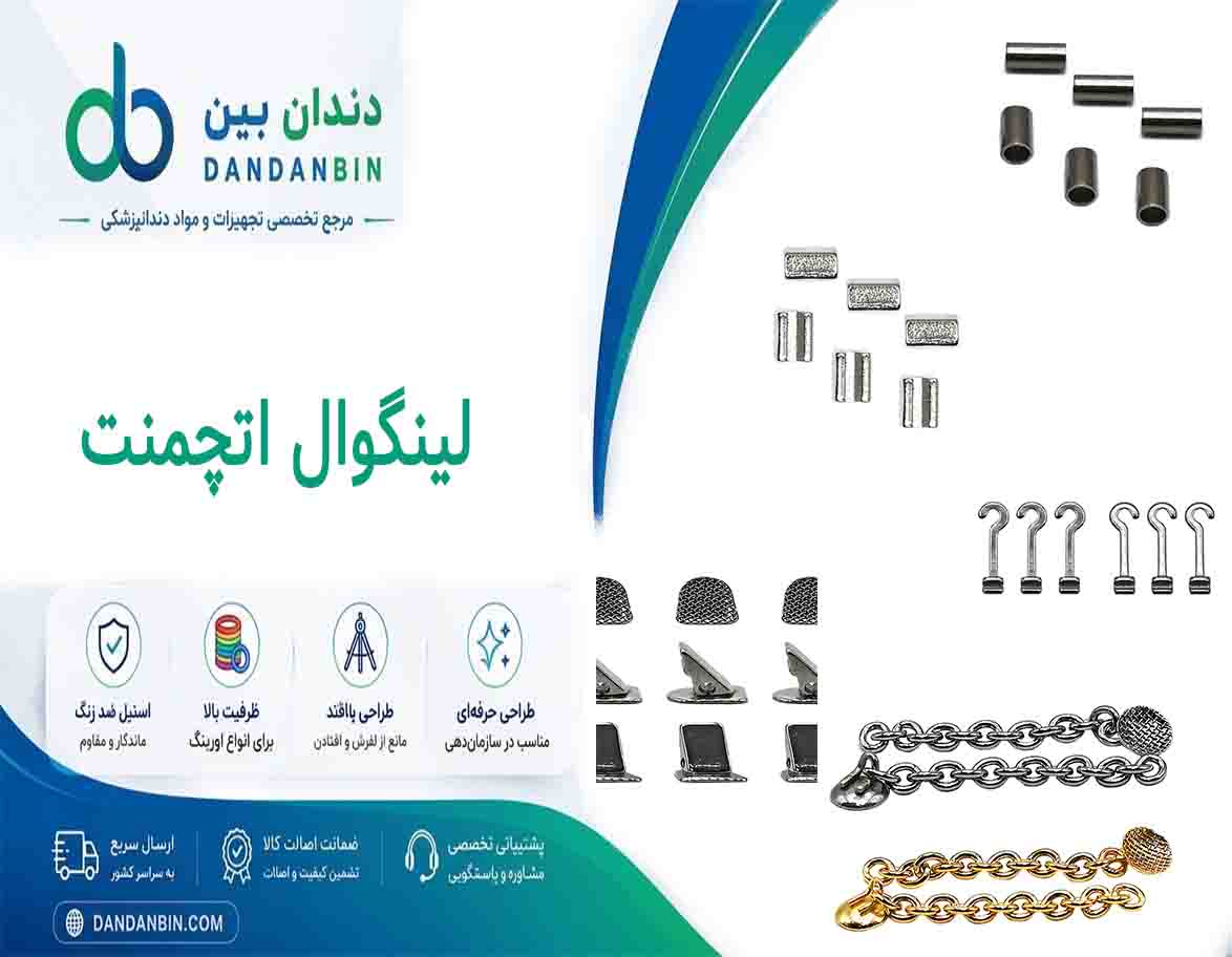 لینگوال اتچمنت