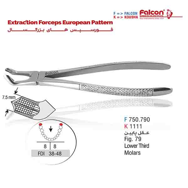 فورسپس عقل پایین فالکن-Falcon