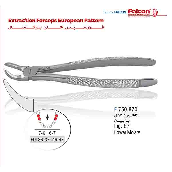 فورسپس کاهورن عقل فالکن-Falcon