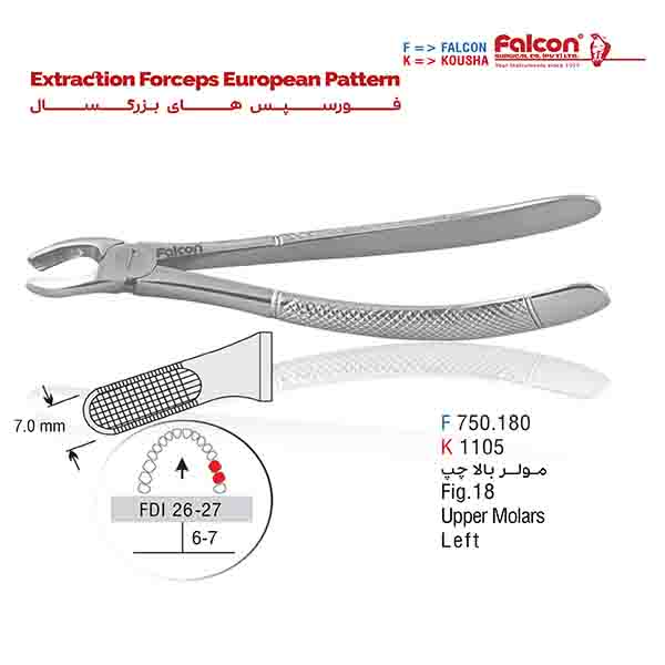 فورسپس مولر بالا چپ فالکن-Falcon