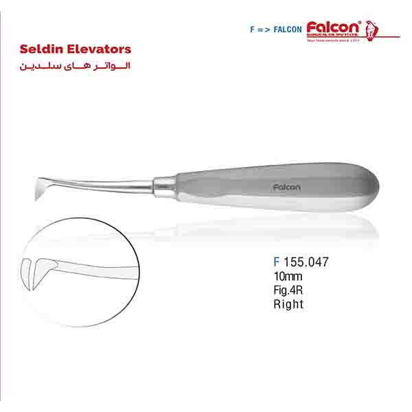الواتر سلدین راست فالکن
