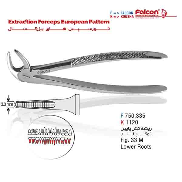 فورسپس ریشه کش پایین نازک فالکن-Falcon