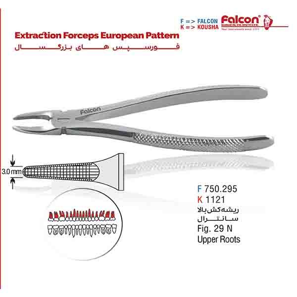 فورسپس ریشه کش سانترال فالکن-Falcon