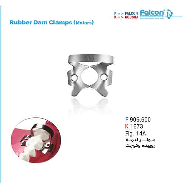 کلمپ مولرهای نیمه روییده و بزرگ fig:14A فالکن-Falcon