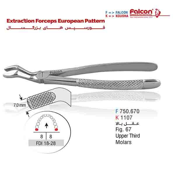 فورسپس عقل بالا فالکن-Falcon