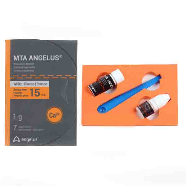 ام تی ای آنجلوس MTA Angelus