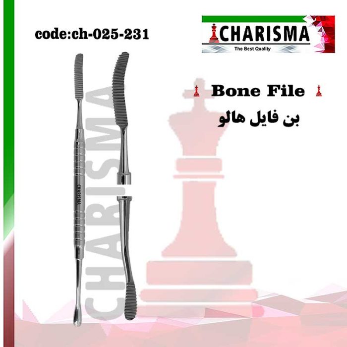 بن فایل هالو کاریزما