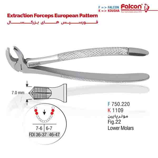 فورسپس مولر پایین فالکن-Falcon
