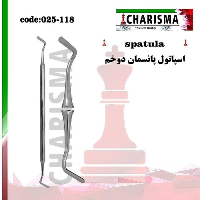 قلم کامپوزیت دوخم کاریزما