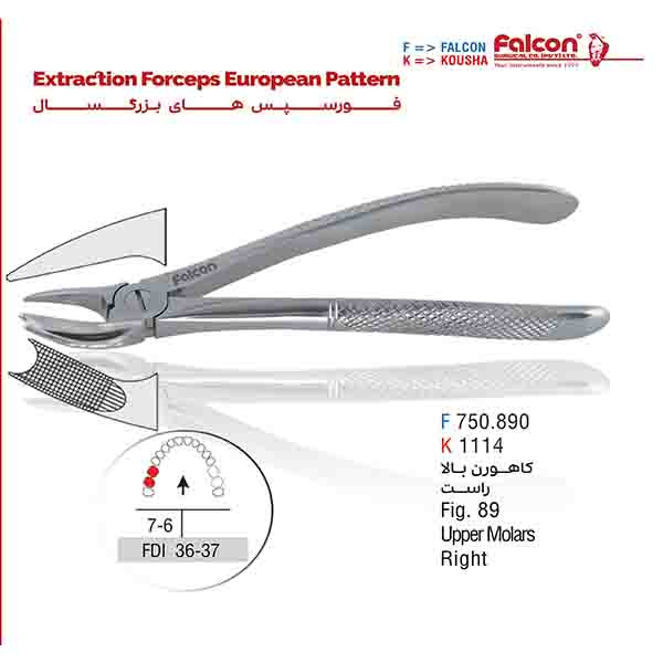 فورسپس کاهورن بالا راست کوشا-Kousha
