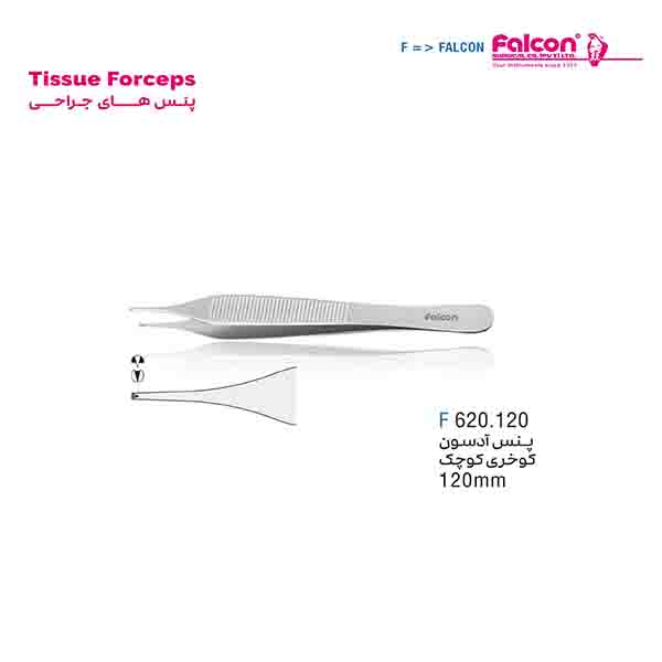 پنس آدسون کوخری کوچک فالکن-Falcon