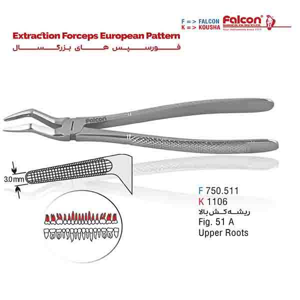 فورسپس ریشه کش بالا فالکن-Falcon