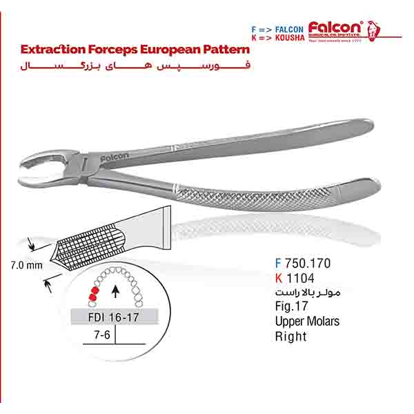 فورسپس مولر بالا راست فالکن-Falcon